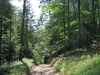 krzeszow-beskid-maly-schornisko-leskowiec-gronie-sierpien-2010-019