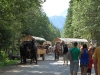 morskie-oko-palenica-wkasmundzka-czarny-staw-kazalnica-rysy-sierpien-2010-003