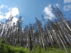 morskie-oko-palenica-wkasmundzka-czarny-staw-kazalnica-rysy-sierpien-2010-010
