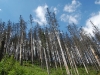 morskie-oko-palenica-wkasmundzka-czarny-staw-kazalnica-rysy-sierpien-2010-011