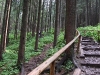 rusinowa-polana-wiktorowki-szlak-oscypka-oscypek-lipiec-2010-003